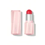 رژگونه استیکی شیگلم