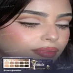 خرید پالت سایه چشم ۱۵ رنگ شیگلم مدل Showtime in Seattle