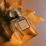 خریدعطر زنانه کوکو مادمازل شنل ادو پرفیوم