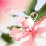 عطر زنانه لانکوم اور د تاپ ادو پرفیوم Lancôme ÔVER THE TOP Eau de Parfum