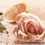 عطر زنانه لانکوم ایدول لو ادو تویلت Lancôme IDÔLE L'EAU DE TOILETTE
