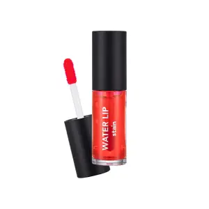 Lip tint categories 2
