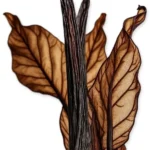 عطر یونیسکس پرفیومز د مارلی هرود ادو پرفیوم Parfums de Marly Herod Eau de Parfum