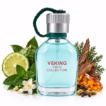 قیمت عطر جیبی مردانه ویکینگ مدل هوگو ۲۵ میلی_لیتر